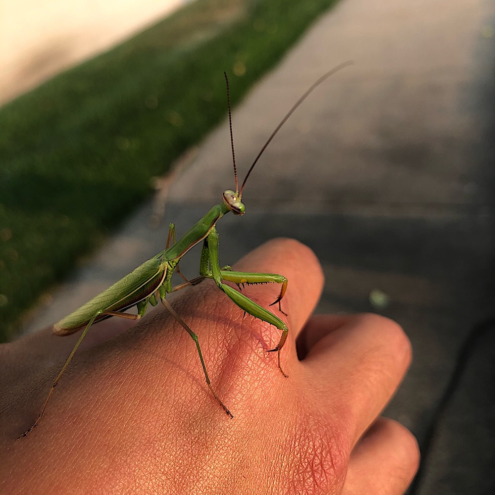 Meet your Posher, Evan